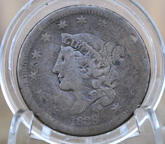 1839 Large Cent Silly Head - AG (About Good) Grade / Condition - 1839 Cent Rarer Variety, Silly Head - 1839 One Cent - Matron Head Modified 1835 to 1839