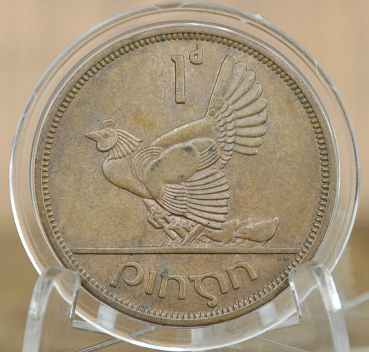 1968 Irish 1 Penny Coin - Great Condition - 1968 One Cent Coin Ireland / UK - Hen with Chicks Design Irish Coins - Great for Gifts, Jewelry