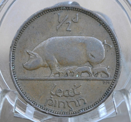 1941 Irish 1/2 Penny - Great Condition - 1941 One Half Cent Ireland / UK - Sow Design Irish Coins
