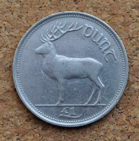 1990s Irish 1 Punt Pound Coin - Great Condition - 1990 One Pound Coin Ireland / UK - Stag Design Irish Coins - Erie 1990, 1999, 1994, 1998