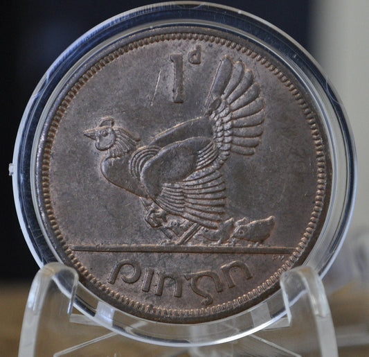 1964 Irish 1 Penny Coin - Great Condition - 1964 One Cent Coin Ireland / UK - Hen with Chicks Design Irish Coins - Great for Gifts, Jewelry