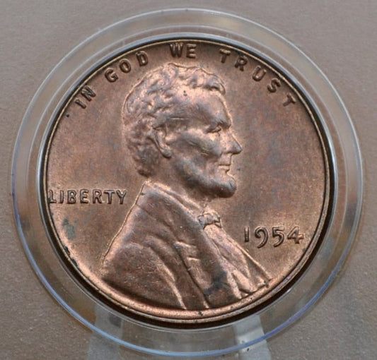 1954 Wheat Penny - XF-AU Grade / Condition (Extremely Fine to About Uncirculated) - Philadelphia Mint - Lincoln Cent 1954-P Wheat Ear Cent
