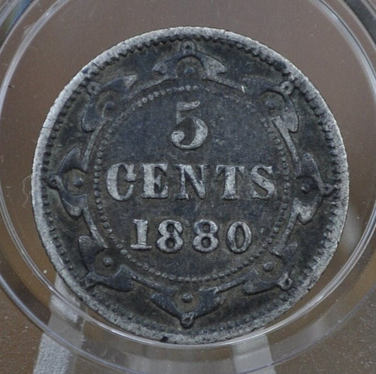1880 Newfoundland Silver 5 Cent Coin - F (Fine) Grade / Condition - Queen Victoria - 5 Cents Newfoundland 1880 Silver - Low Mintage