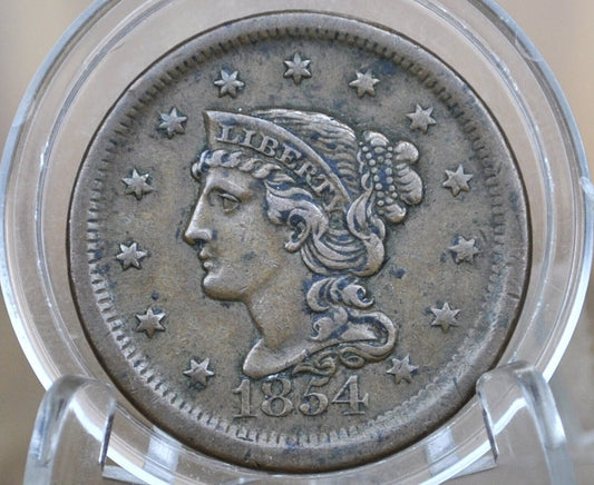 1854 Braided Hair Large Cent - Choose by Coin / Grade - 1854 Coronet Cent 1854 US Large Cent Braided Hair 1839 to 1857
